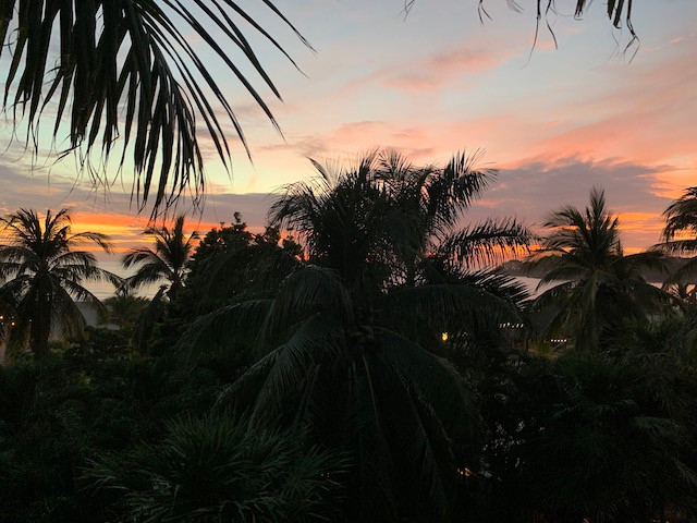 View from Selina in Puerto Escondido