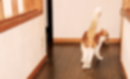 room10