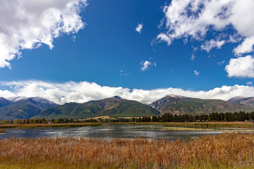 Luxury Real Estate Montana Dream Homes | Florence, MT | June Murray Realtor 