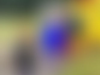 Splish Splash That's A Wrap