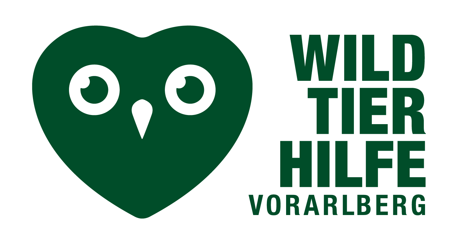 Wildtierhilfe Vorarlberg