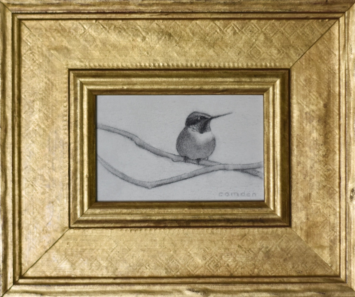 The Hummingbirds IV