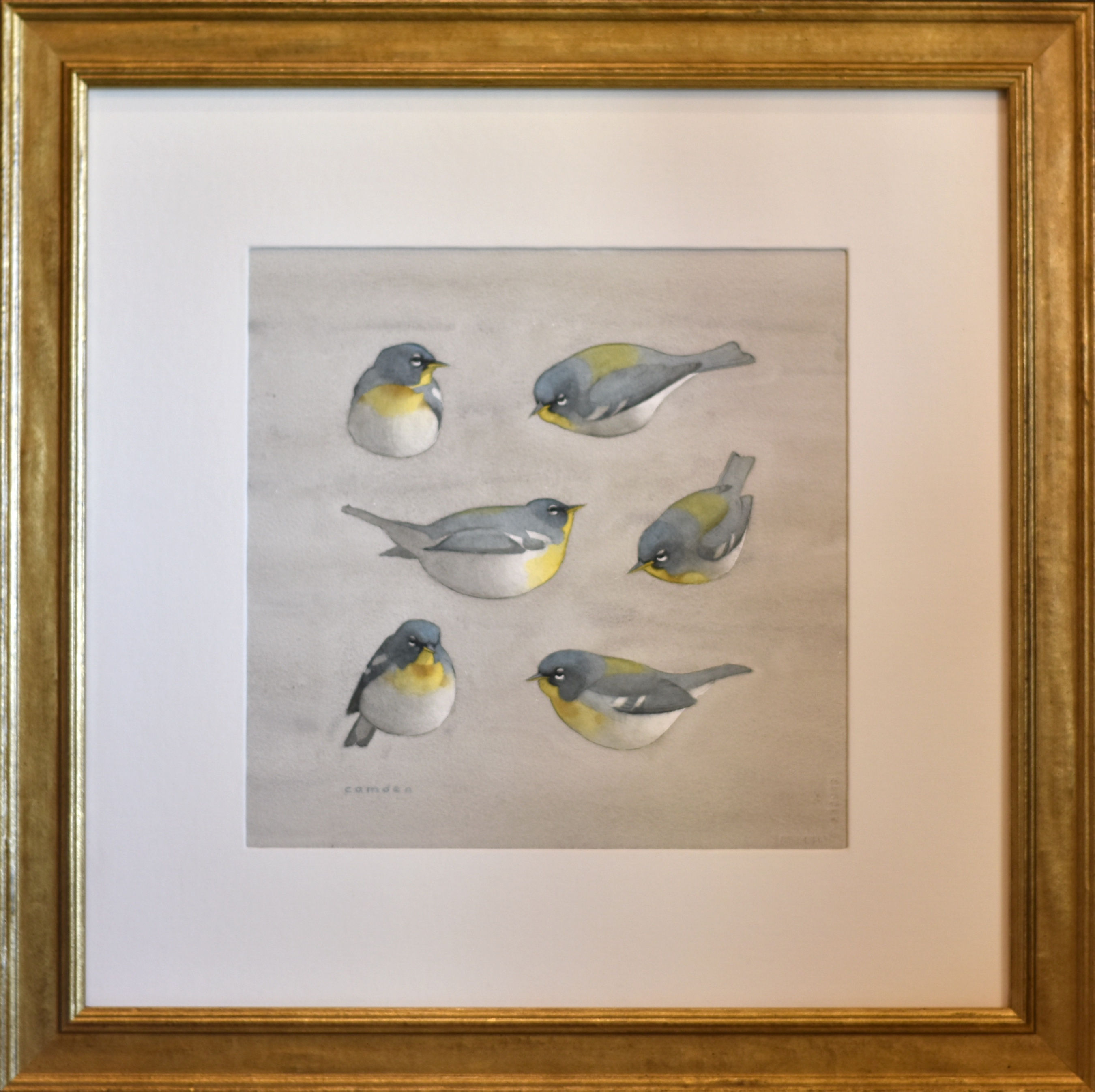 Bauhaus Northern Parulas