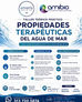 Propiedades terapéuticas del agua de mar: conoce su potencial en la salud y el bienestar