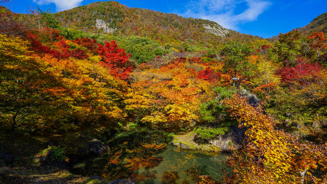 紅葉山