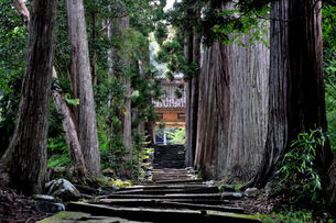 清水寺の参道