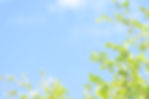 青空