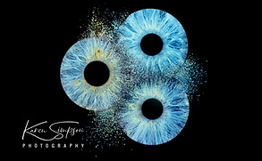 Alltheblueeyes-Iris_photography.jpg