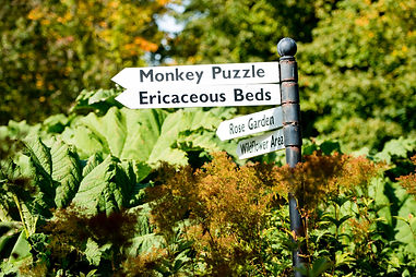 Grounds_GeoffKirbyPhotography.jpg