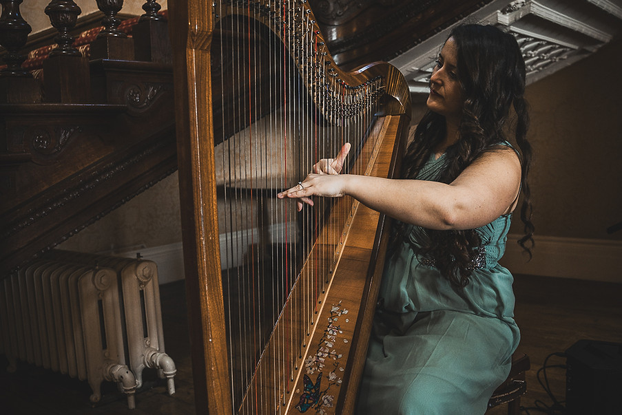 Bristol based singing harpist available for Christmas events, Christmas parties, Hotel Christmas, Christmas dinner and care homes. LizzyHartMusician covers Somerset, Gloucester, Wiltshire and Wales. Christmas music for event
