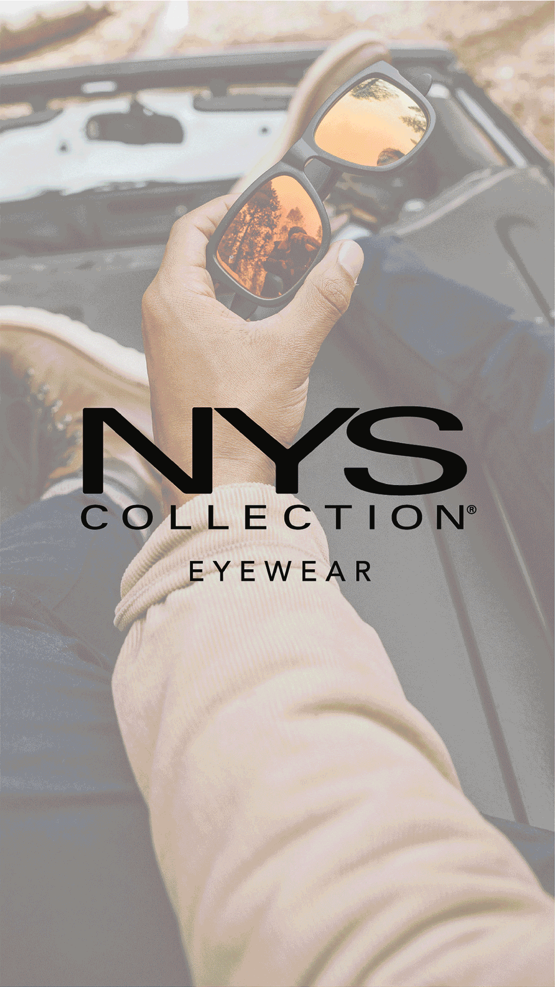 NYSFallStoryGIF.gif