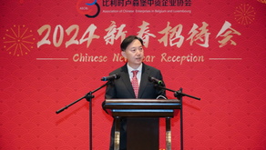 比利时卢森堡中资企业协会举办新春招待会