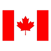 image-removebg-preview (1).png