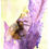 Thumbnail: SOLD  Watercolour of a bee and lavender  - "Bee Bliss"- Artist Donna Lewis