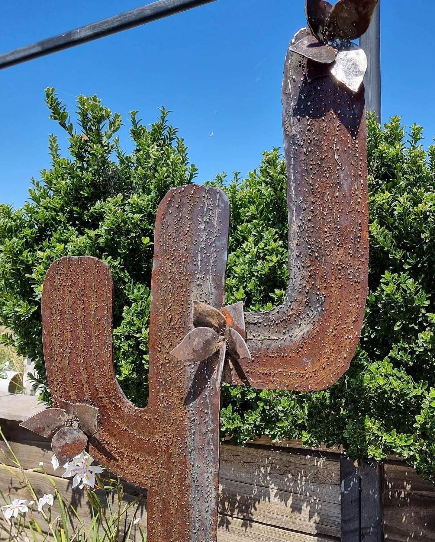 Steel Cactus garden art (Sold)