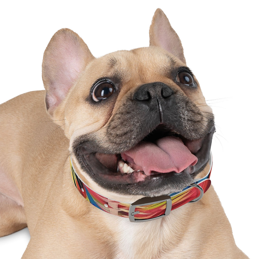 Thumbnail: Dog Collar