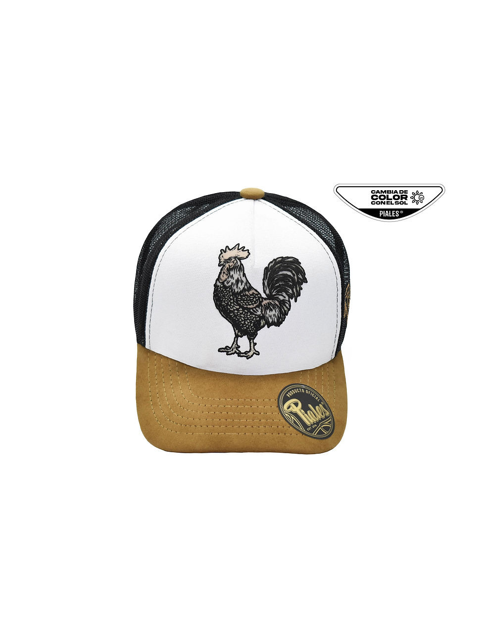 Thumbnail: Sunny Black Cock