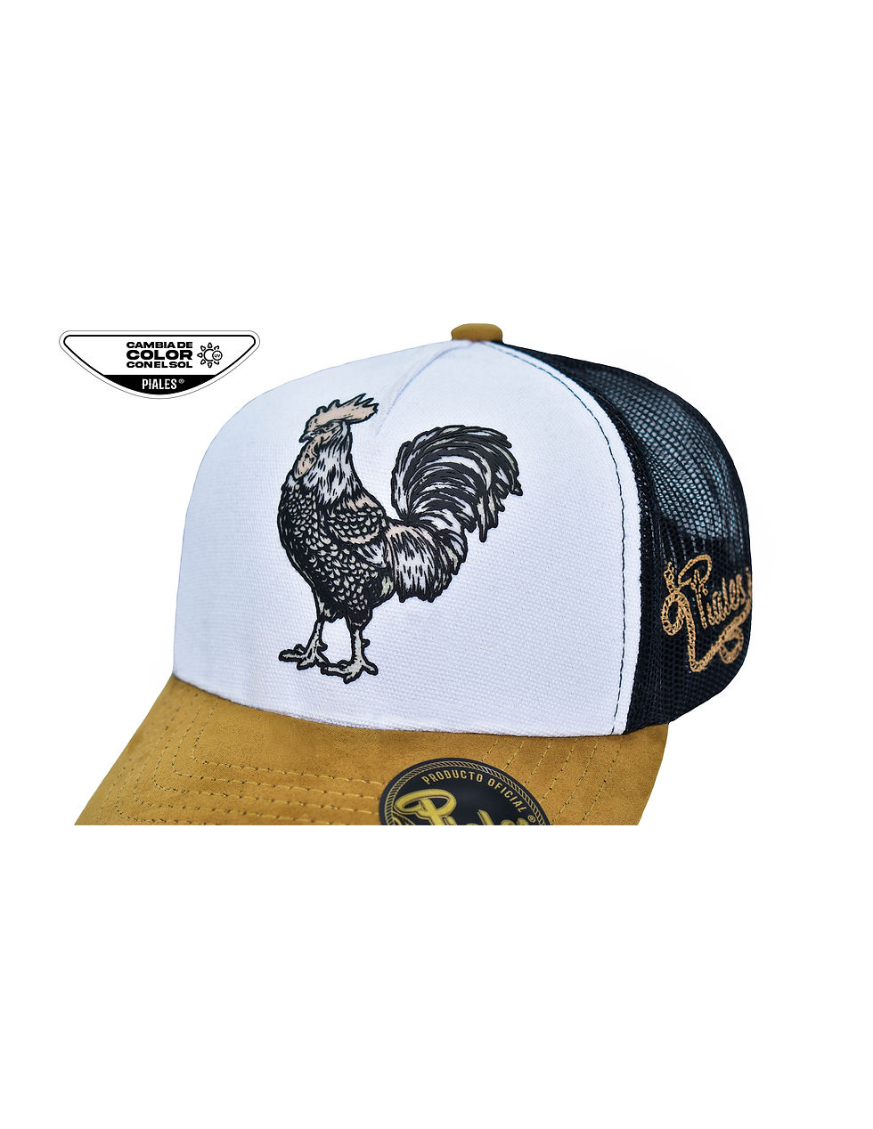 Thumbnail: Sunny Black Cock