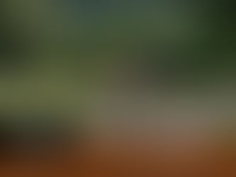 Book launch: Sustainable and regenerative approaches in active and ecotourism