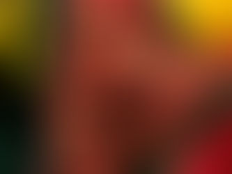 The Perfect Punjabi Woman Always Disappears