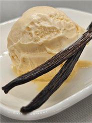 French Vanilla artisan premium ice cream