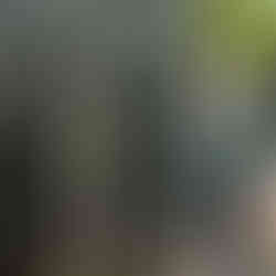 Tour Guide Ms. Cheryl