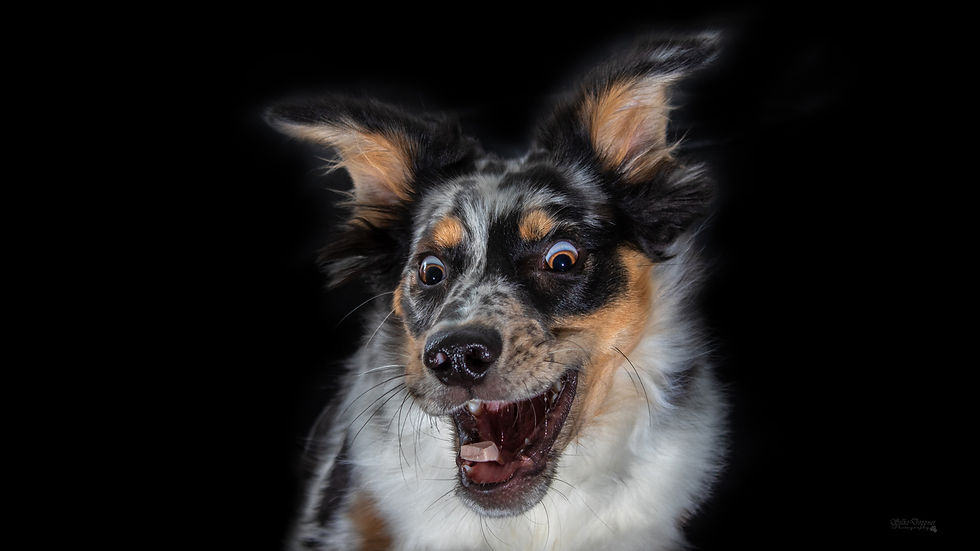 Balu