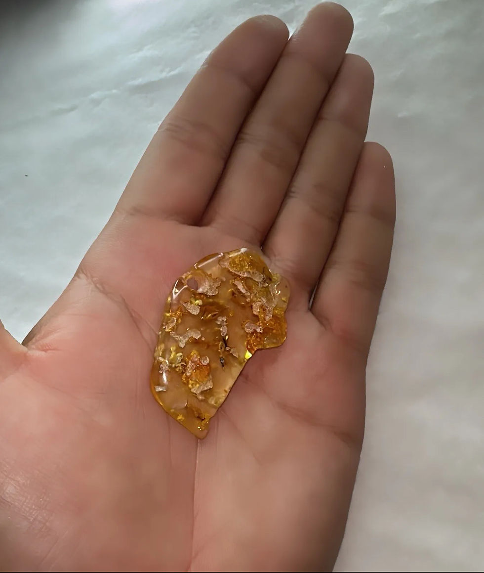 Thumbnail: Colombian Amber WIth Fossilized Insects