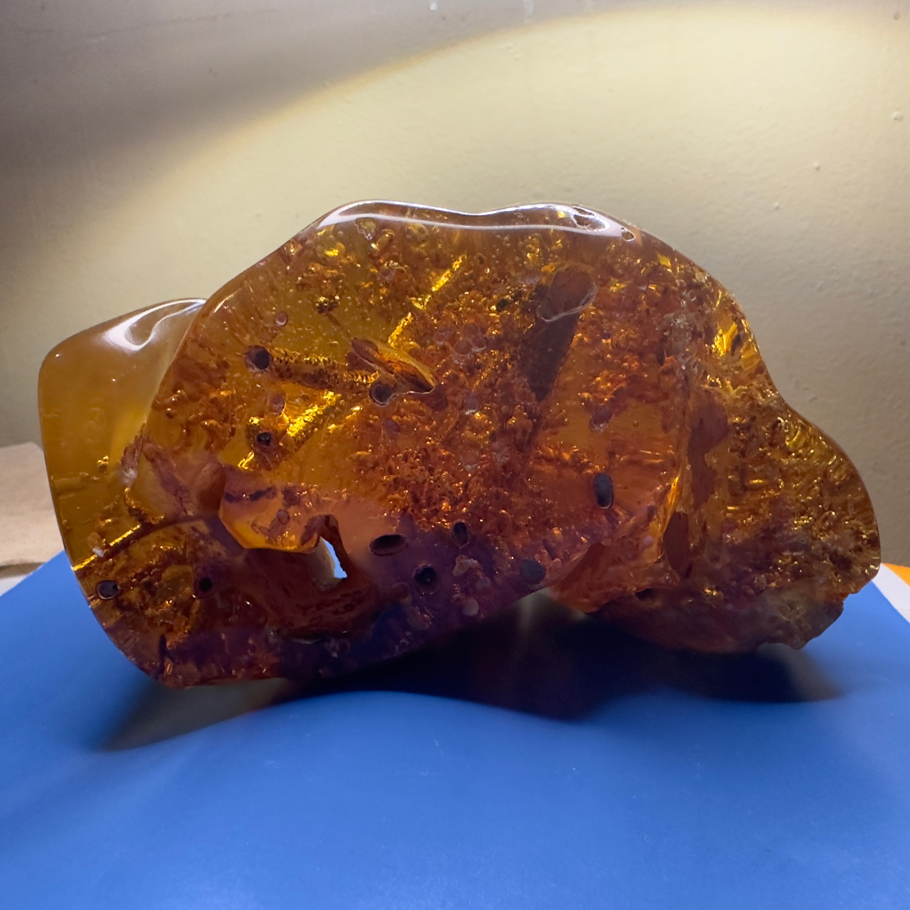 Colombian Amber with Fossilized Roots and Insects