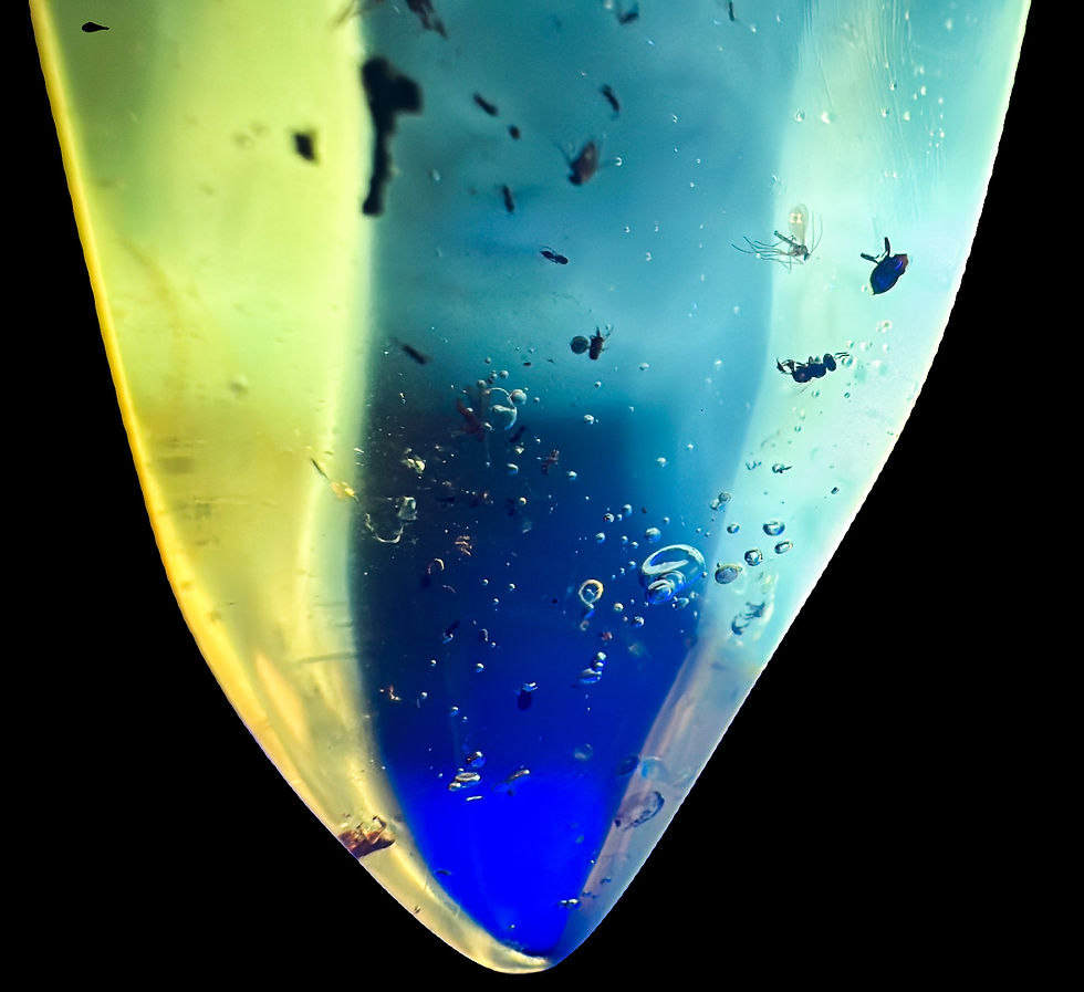 Thumbnail: Colombian Amber With Fossilized Insects