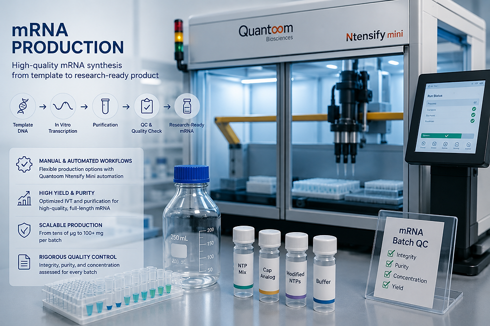 mRNA Production