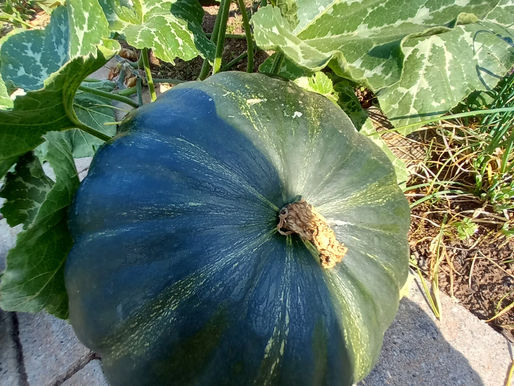 Erntedank im Odenwaldgarten