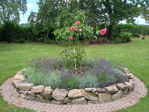 Ein Lavendelrondell verschönert jeden Garten