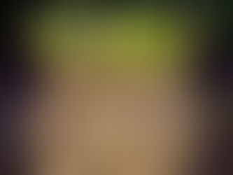 Zauberhafte Dahlien verabschieden sich in die Winterruhe