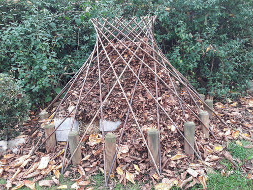 Lebensraum für Igel, Kleintiere, Insekten und Co.