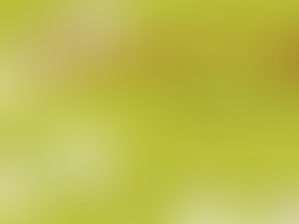 SNAPSHOT - January '26