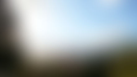 Sanity im Spandauer Volksblatt