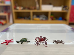 photo_2024-06-03 19.58.58