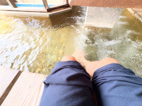 #村杉温泉 環翠楼