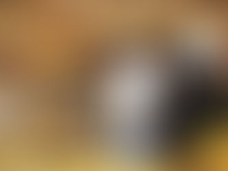 【ふりあん  竣工写真撮影日。】