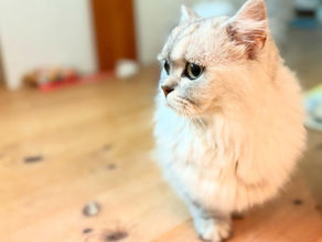#自分の居場所。