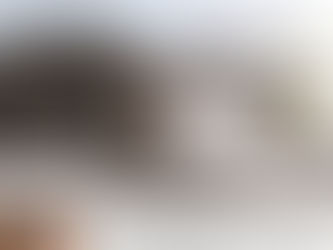 平屋住宅 【完成見学会】のご案内