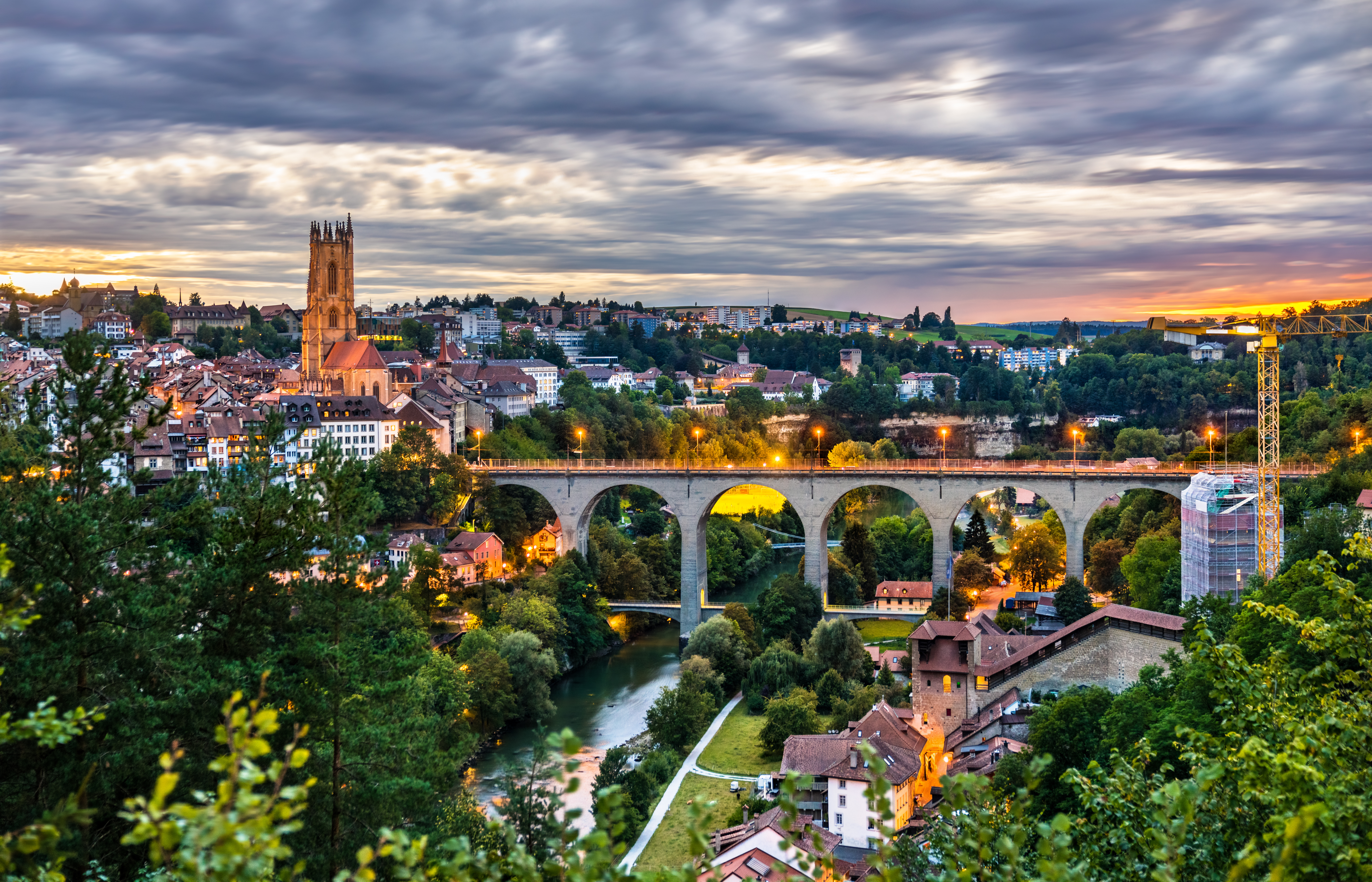 Animal Health Certificate service in Bristol