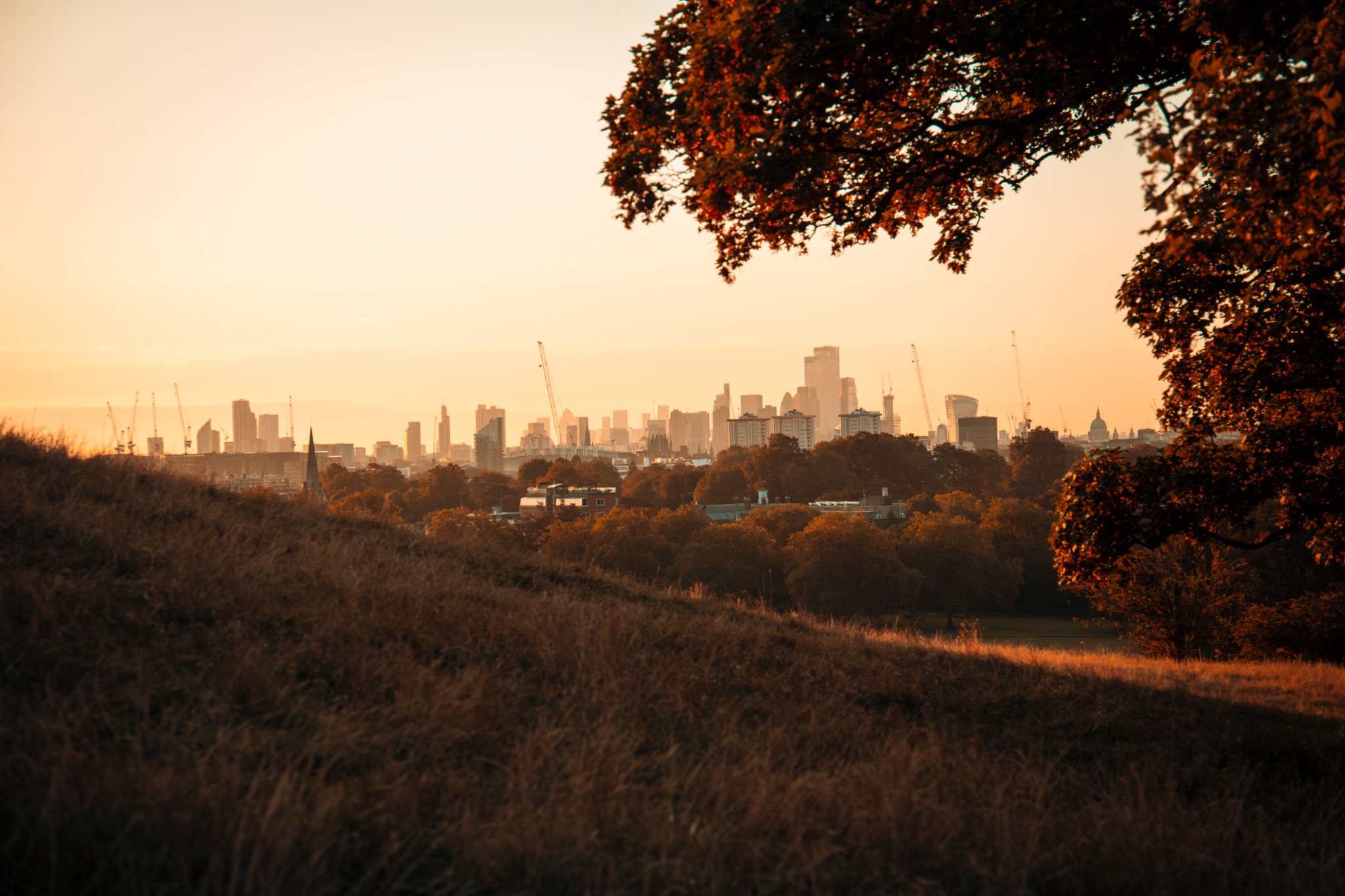 North London skyline seen across Hampstead Heath at sunset with autumn trees