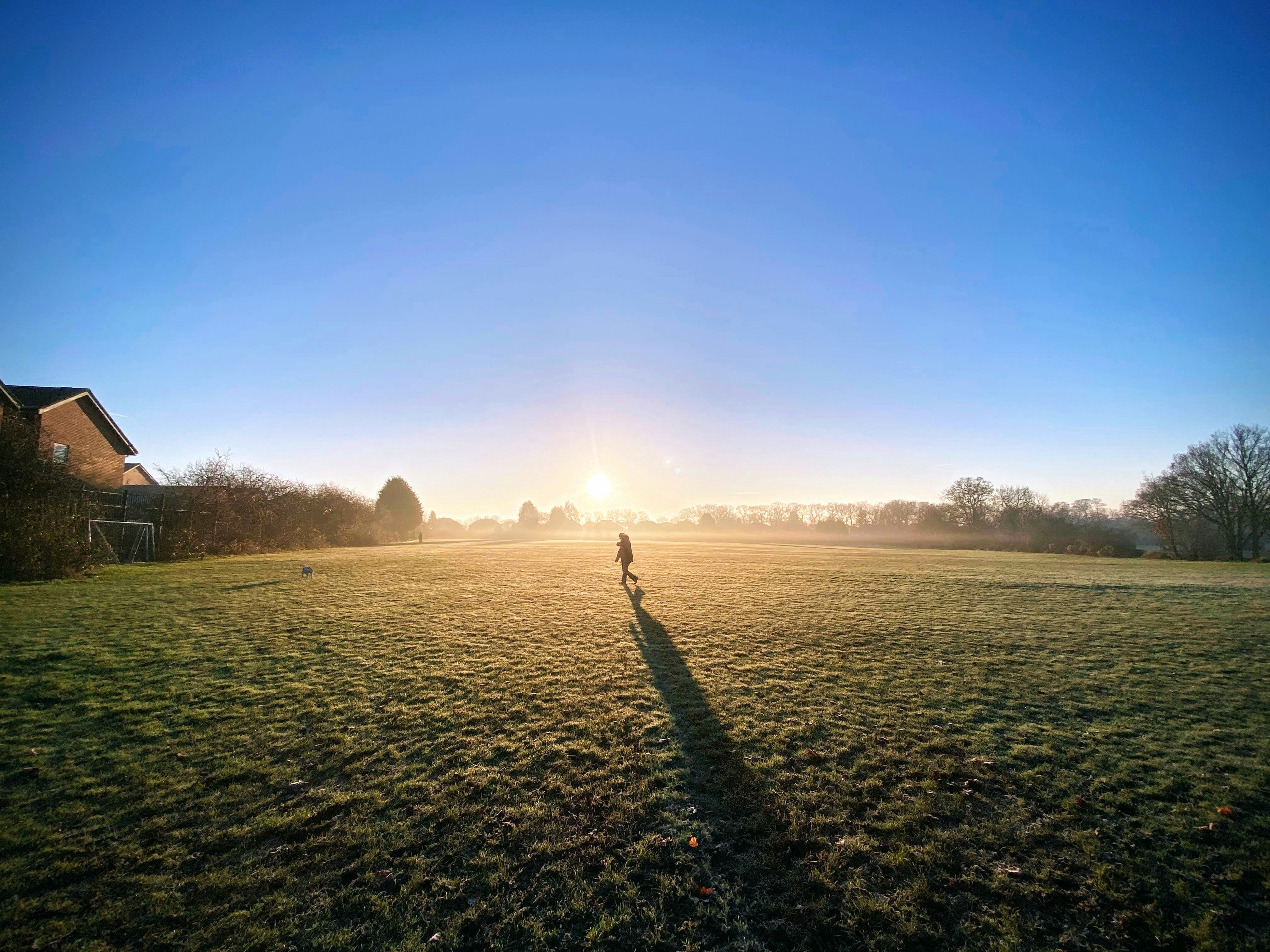 Animal Health Certificate service in Solihull