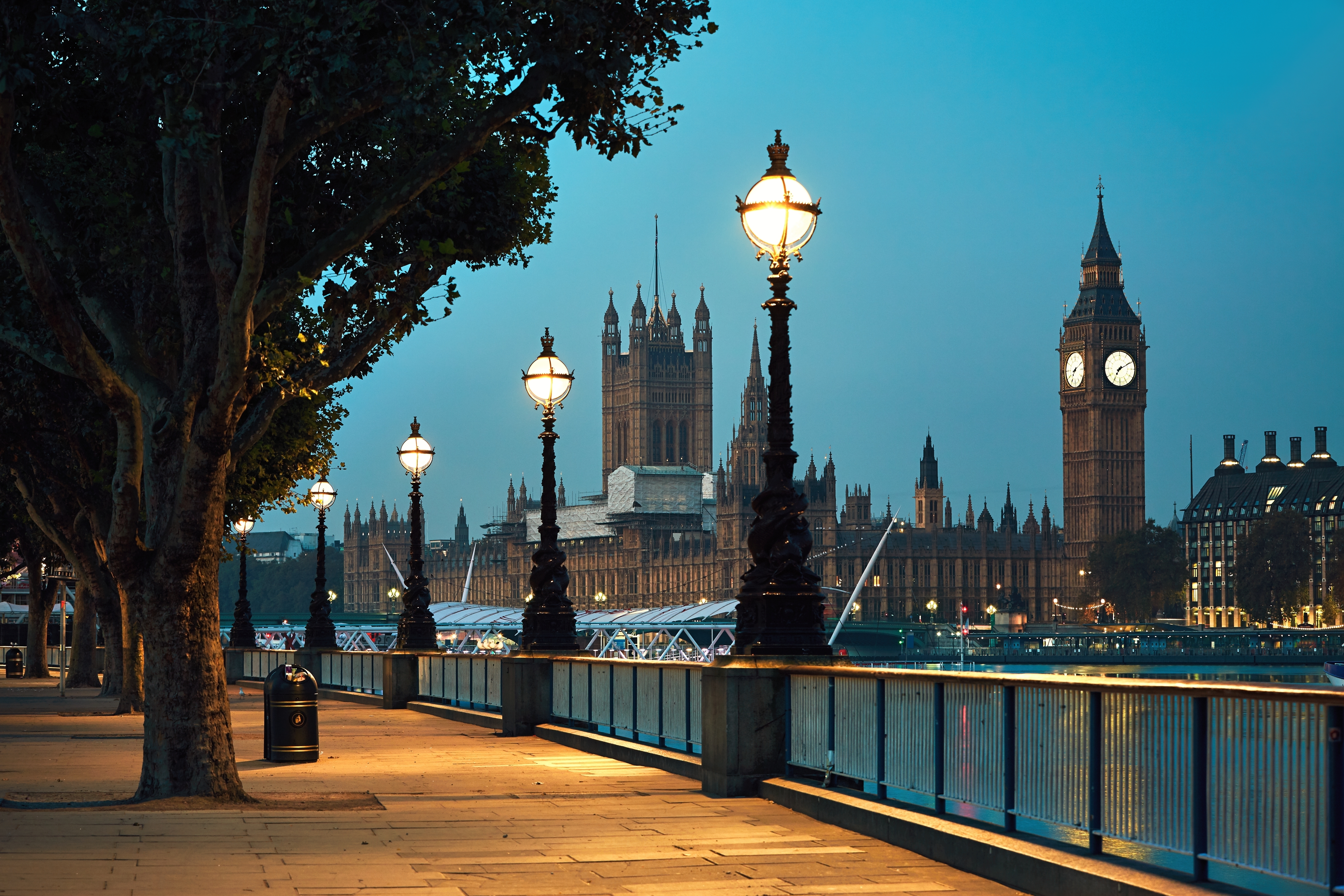 Animal Health Certificate in Central London