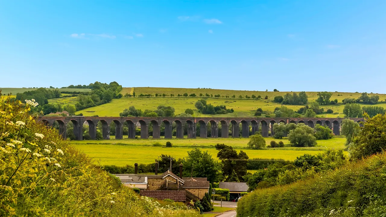 Animal Health Certificate service in Northamptonshire