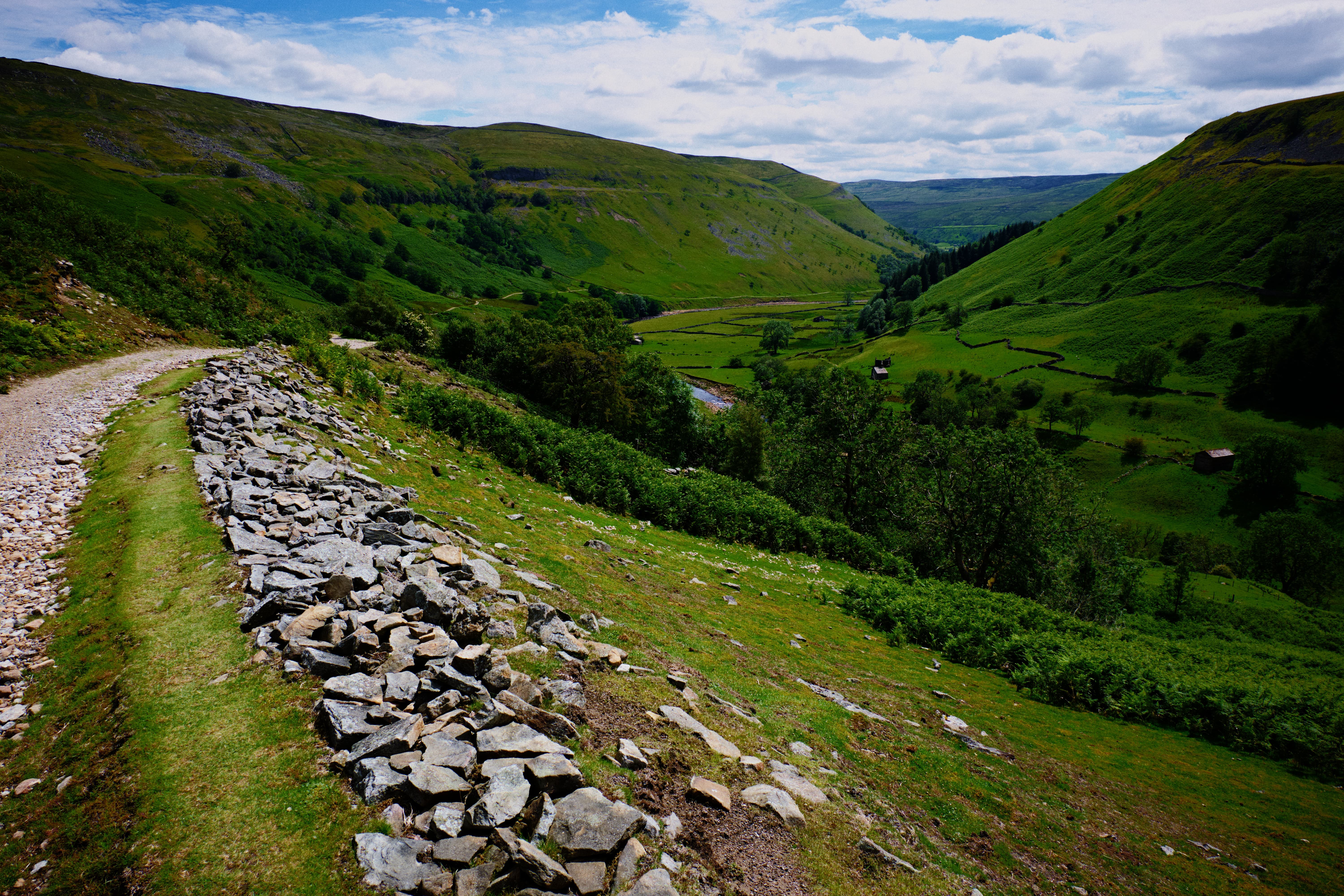Animal Health Certificate service in South Wales