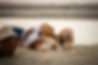 pexels-shahab-hossein-412103575-17896859.jpg