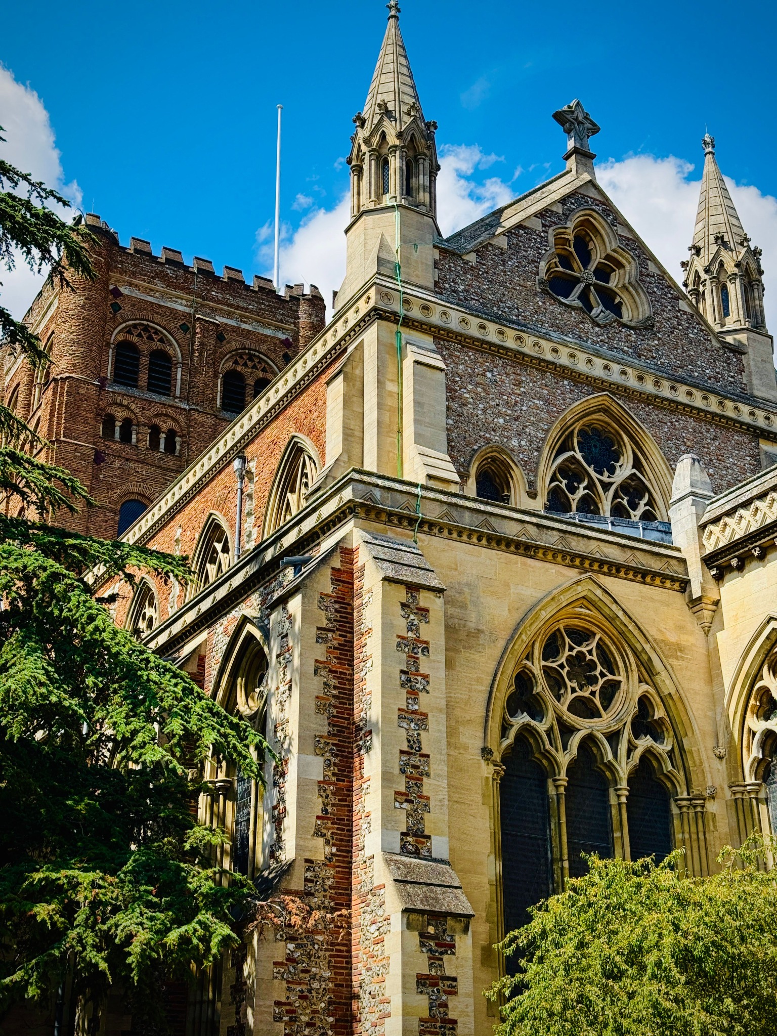 Animal Health Certificate in Hertfordshire
